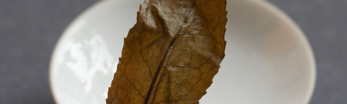 Exquisite Leaves - Anhua Dark Tea (heicha) of the finest sort