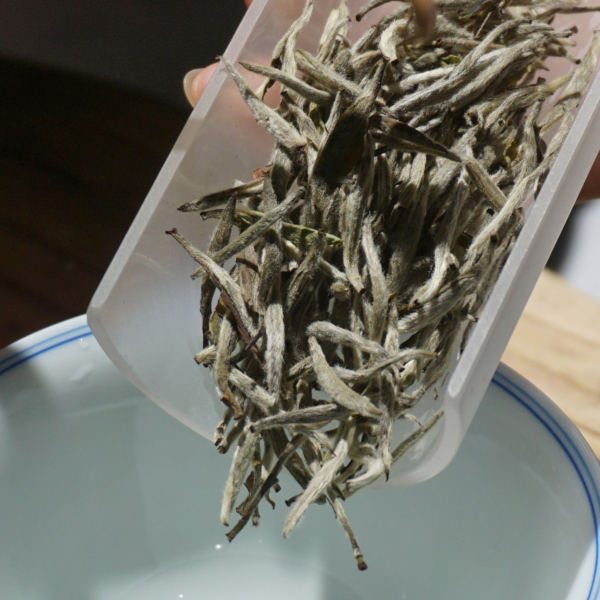 2019 Finest Grade Yinzhen White Tea